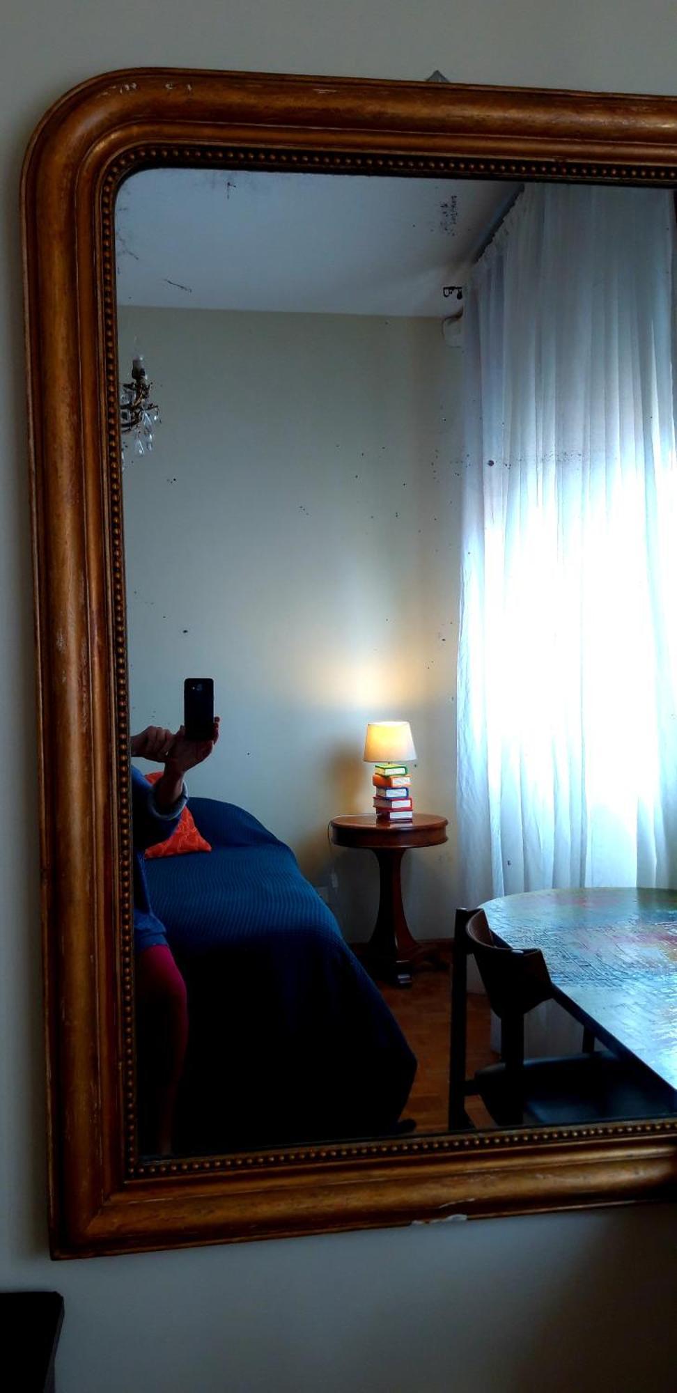 Camera Luminosa Ed Elegante Otel Bolonya Dış mekan fotoğraf